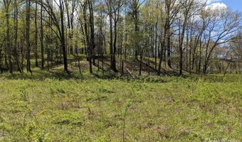 27 Woodtrail Way, Arden, NC 28704