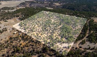 23370 Apishapa Ln, Aguilar, CO 81020