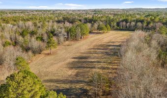 343 Co Rd 814, Flat Rock, AL 35966