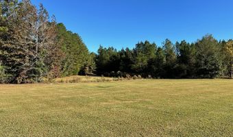 Clara Foote Road, Braxton, MS 39044