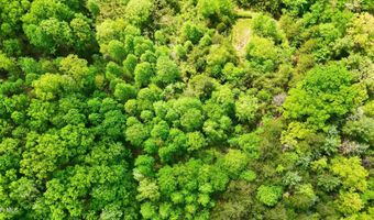 2376 Middle Creek Rd, Afton, TN 37616