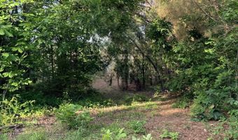 County Road 167, Baldwyn, MS 38824