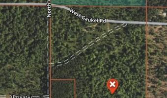 VL Gaukel Road, Lake City, MI 49651