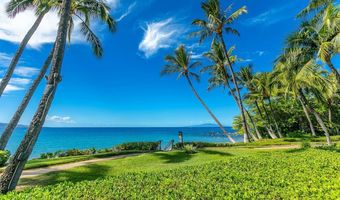 3600 WAILEA ALANUI Dr 1101, Kihei, HI 96753