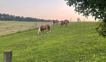 801 Purdum Mill Rd, Appomattox, VA 24522