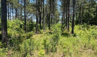 2423 A East Lincoln Rd, Brookhaven, MS 39601