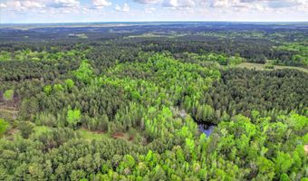 6995 Cobbham Rd, Appling, GA 30802