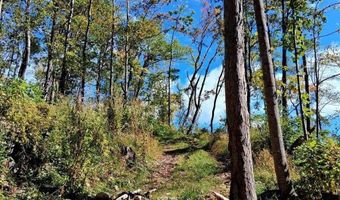 0 Mount Horeb Rd, Amherst, VA 24521