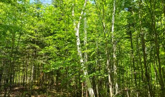 150 Spur Rd, Bloomfield, VT 05905