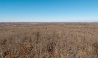 Tuska Drive, Ash Flat, AR 72513