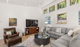 768 Kings Lake Rd, Basalt, CO 81621