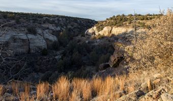 001 CR 40.2, Branson, CO 81027