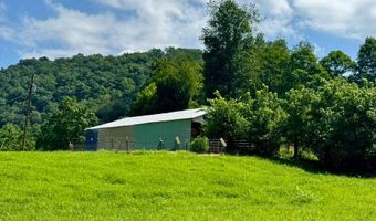 179 Cow Ln, Arnoldsburg, WV 25234