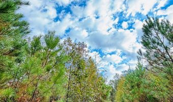 644 Ash-Harrel Loop, Abbeville, GA 31001