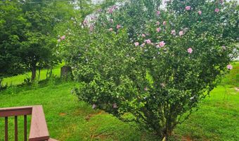 603 Burley Hollow Rd, Amherst, VA 24521