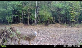 Putnam Road, Belzoni, MS 39038