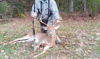 9891 Baskerville Rd, Baskerville, VA 23915