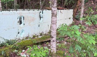 88 Acres Bolden Br, Andrews, NC 28901