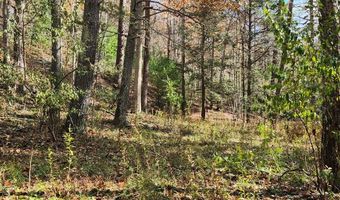 290 Angels Pass Dr Lot 1, Bastian, VA 24314