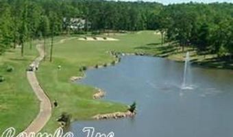 15 Binefar Ln, Hot Springs Village, AR 71909