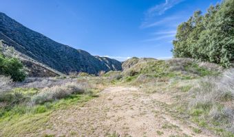 12571 Capra, Agua Dulce, CA 91390