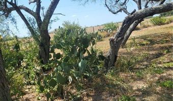 6086 State Highway 359, Alice, TX 78332