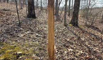 County Road 529, Ava, MO 65608
