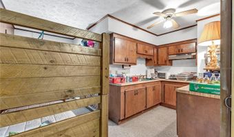 1940 ALICE Dr, Astor, FL 32102