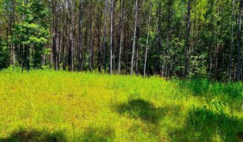 Arthur Drive, Brookhaven, MS 39601