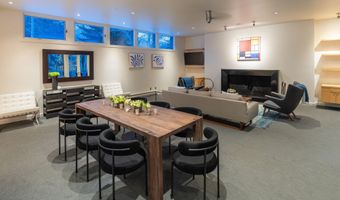 506 W Hallam St, Aspen, CO 81611