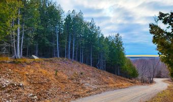 Maxey Road, Arcadia, MI 49613