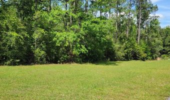 NHN Spring Oak Dr, Carriere, MS 39426
