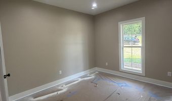1007 CR 208, Blue Springs, MS 38828