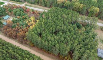 Lot 87 20th Avenue, Arkdale, WI 54613