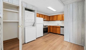 700 S Monarch St 207, Aspen, CO 81611