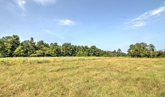 210 CR 2823, Alto, TX 75925