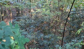 0 Lords Way, Andrews, NC 28901