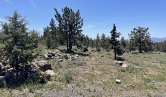 Beaver Lane 37, Bonanza, OR 97623