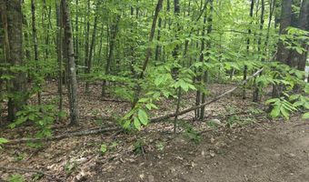 5 Panaway Dr 11-1-3, Campton, NH 03223