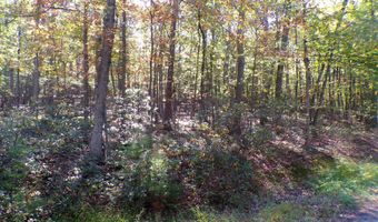 BIG HORN TRAIL E-15, Augusta, WV 26704