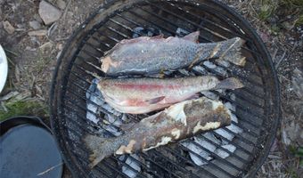 NHN Herring Flats Road, Anaconda, MT 59711