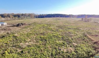 25 Acres Alabama Highway 68, Albertville, AL 35951