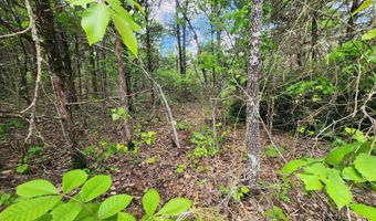 Strawberry Valley Road, Ash Flat, AR 72513