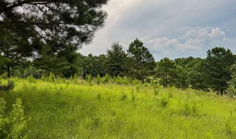 Legacy Shores lot 66, Alberta, AL 36720