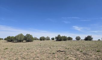256 D Old Antelope Run Rd, Ash Fork, AZ 86320
