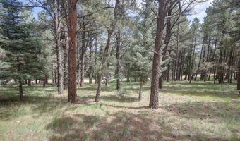 Lot 1311 San Pedro Dr, Angel Fire, NM 87710