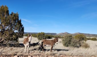 150 Off Ten Tanks, Ash Fork, AZ 86320