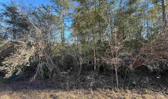 Goreville Avenue, Alford, FL 32420