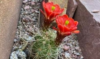 1111 Utica Cir, Boulder, CO 80304