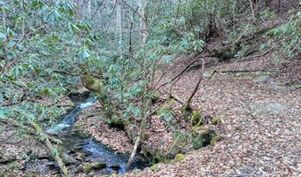 6 83ac Webb Creek Rd, Andrews, NC 28901